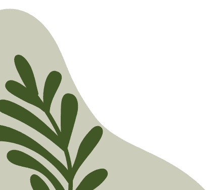 NGUYỄN THANH THẢO