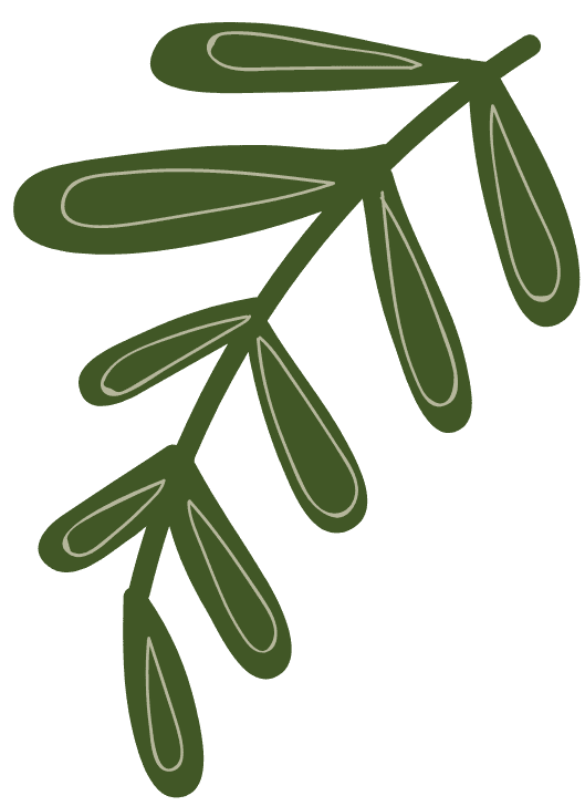 NGUYỄN THANH THẢO